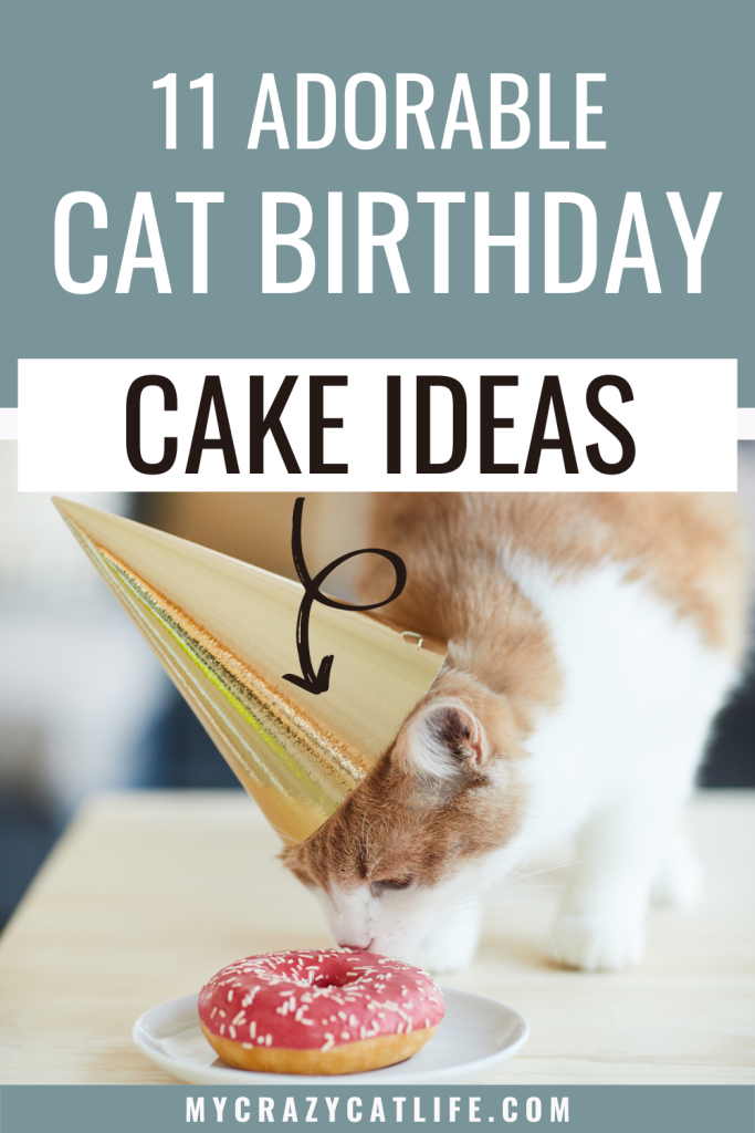 Celebrate your feline friend's special day with one of these adorable cat birthday cake ideas! Includes both edible recipes and cake-shaped toys. Check them out!