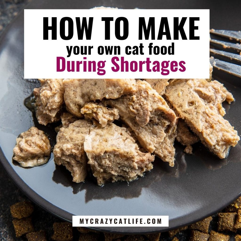 Homemade Cat Food Recipes to Get You Through the Canned Food Shortage