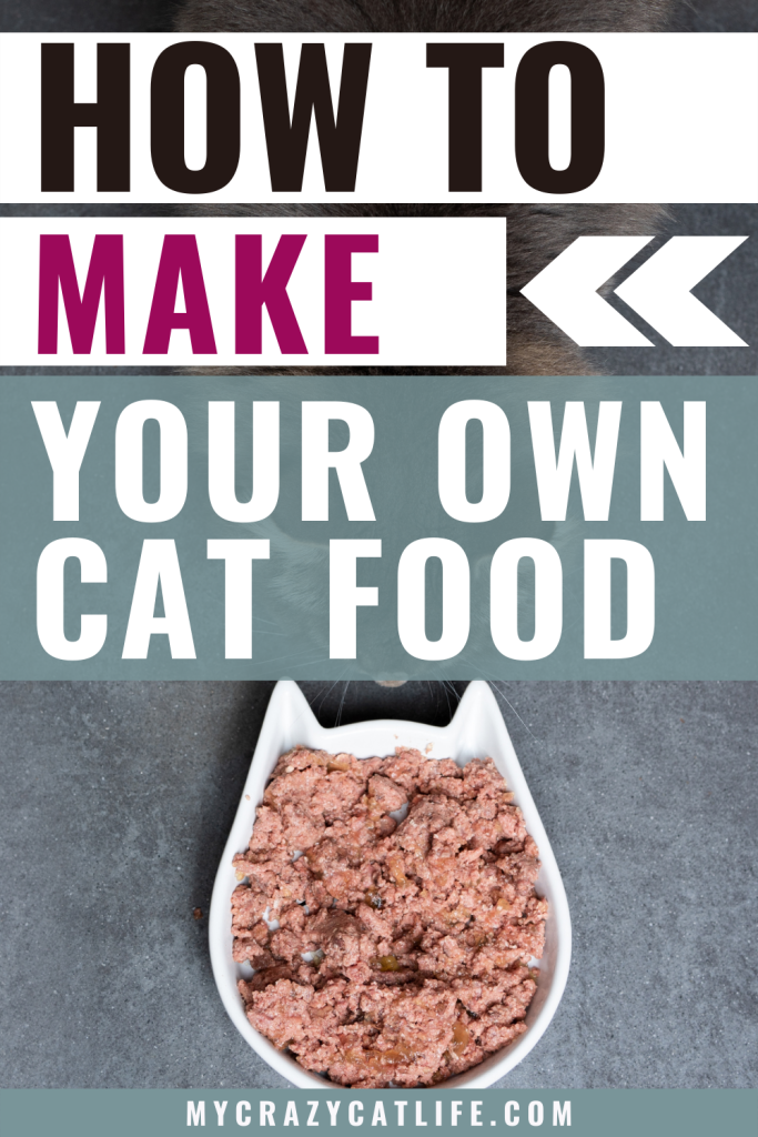 With canned cat food in short supply all over the country, I'm in a bit of a panic over how I'll feed my feline friends. These homemade cat food recipes help ease my mind!